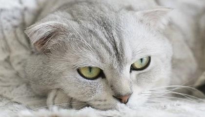 开云体育-中国男篮再下一城：轻取热火背后隐藏的胜利密码